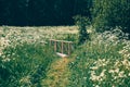 Wooden bridge across Voronka river near Yasnaya Polyana, Leo Tolstoy home estate in Tula region, Russia Royalty Free Stock Photo